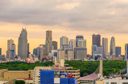 Tokyo skyline  with buildings in Shinjuku  in Japanのeditorial素材