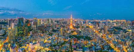 Tokyo skyline  with Tokyo Tower at twilight in Japanのeditorial素材