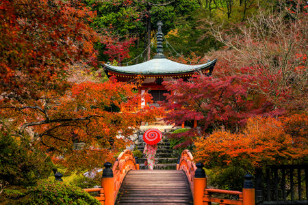 Landscape of Daigo-ji temple with colorful maple trees in autumn, Kyoto, Japanのeditorial素材