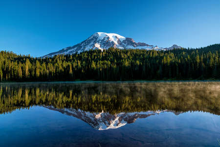 Beautiful wildflowers and Mount Rainier, Washington state in USAの写真素材