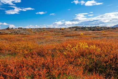 Iceland beautiful landscape, Icelandic nature landscape. Famous tourist attractionsの写真素材