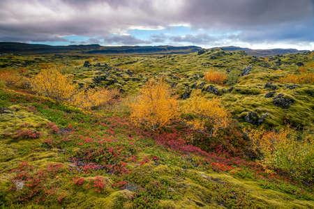 Iceland beautiful landscape, Icelandic nature landscape. Famous tourist attractionsの写真素材