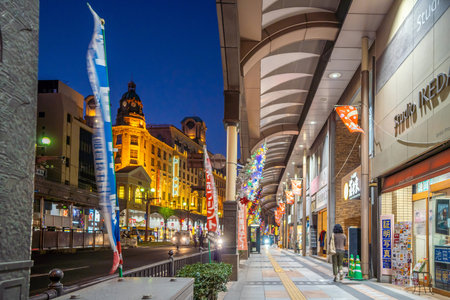 Kagoshima, Kyushu, Japan - November 20, 2019 : Kagoshima downtown shopping area  at nightのeditorial素材
