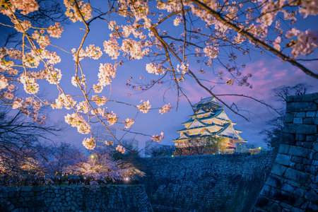 Twilight at Osaka castle during Cherry blossoms season in Japan at sunsetのeditorial素材