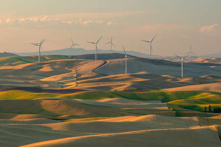 View of Steptoe Butte,  the beautiful scene of barley and wheat field with wind turbines in the Palouse region, Washington state USAの写真素材