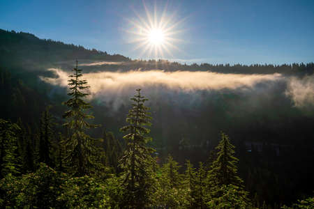 Landscape of Mount Rainier National Park in Washington State, USAの写真素材