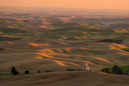 View of Steptoe Butte,  the beautiful scene of barley and wheat field in the Palouse region, Washington state USAの写真素材