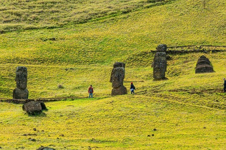 Moai set in the hillside at Rano Raraku  in Easter Island, Chileの写真素材