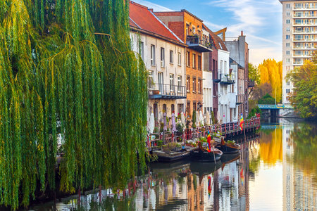 View of  historic city of downtown Ghent, cityscape of Belgium at sunriseの写真素材