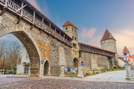 Old town Tallinn city skyline, cityscape of Estonia at sunsetの写真素材