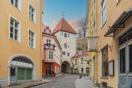 Old town Tallinn city skyline, cityscape of Estonia at sunsetの写真素材