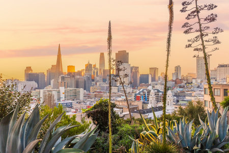 Scenic view of downtown San Francisco California USA