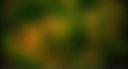 Green abstract background, blurry green background, Green blurred, Beautiful abstract green blur on natural background.の写真素材