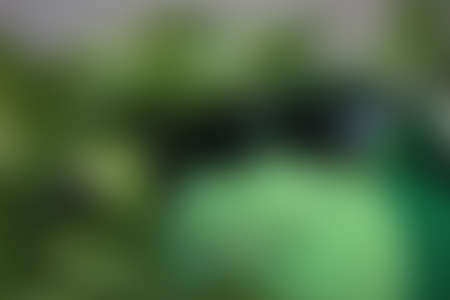 Green abstract background, blurry green background, Green blurred, Beautiful abstract 
green blur on natural background.の写真素材