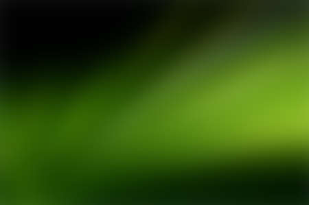 Green blurred background, green bokeh abstract light backgroundの写真素材