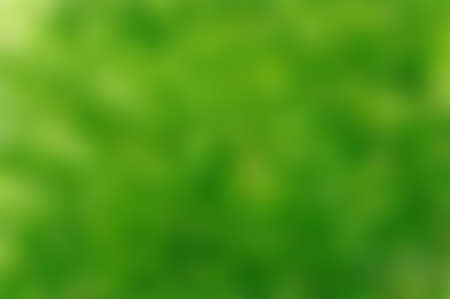 Green blurred background, green bokeh abstract light backgroundの写真素材