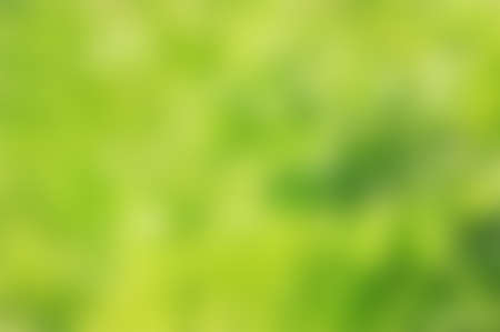 Green blurred background, green bokeh abstract light backgroundの写真素材