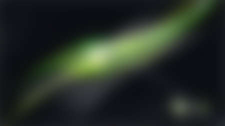Green blurred background, green bokeh abstract light backgroundの写真素材