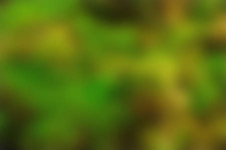 Green blurred background, green bokeh abstract light backgroundの写真素材