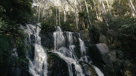 Running Waterfall in the Forestの写真素材