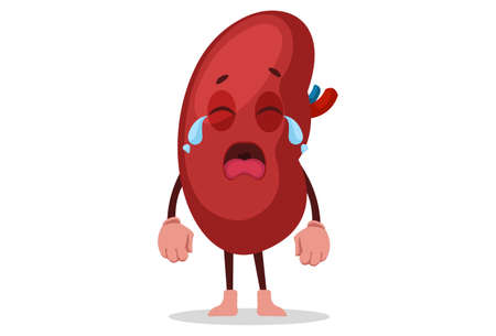 Kidney is crying. Vector graphic illustration. Individually on white background.のイラスト素材