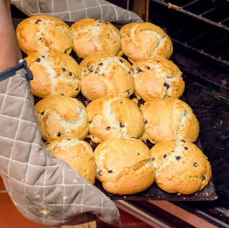 Local owned restaurant bakes home made chocolate chip muffins for dessert in deli