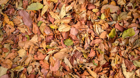 Fall on The Floorの写真素材