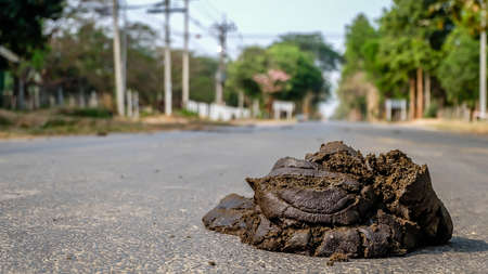 On the Streetの写真素材