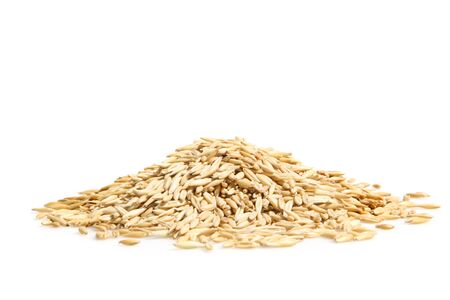 A pile of oat isolated on a white backgroundの写真素材