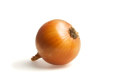 One onion with shadow isolated on white background.の写真素材