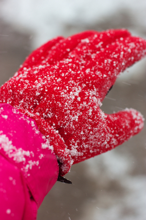 A closeup of a female hand in the red glove covered with falling snow.の写真素材