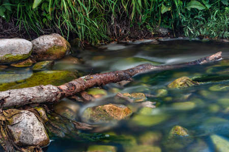 Long exposure photography on a fallen trunk in a river