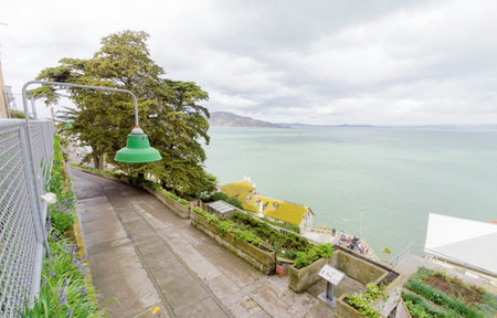 The Alcatraz Penitentiary island, now a museum, in San Francisco, California, USA. A view of an old light post, the flower gardens and the San Franscisco bay.のeditorial素材