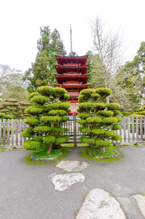 The Japanese Tea Garden in Golden Gate Park in San Francisco, California, United States of America. A view of the native Japanese and Chinese plants and red pagoda that create a relaxing scenery.のeditorial素材
