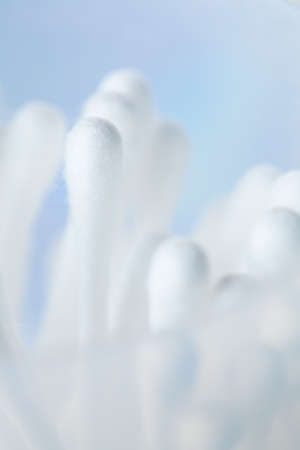 cotton brush