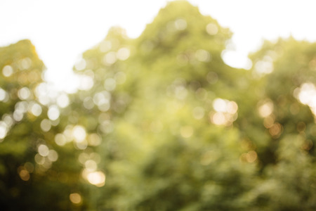Blurred image of nature, spectacular soft backgroundの写真素材