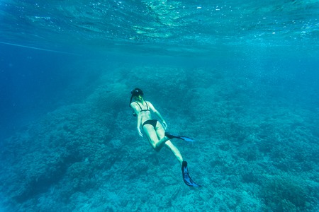 Beautiful coral reef with young freediver woman, underwater life.