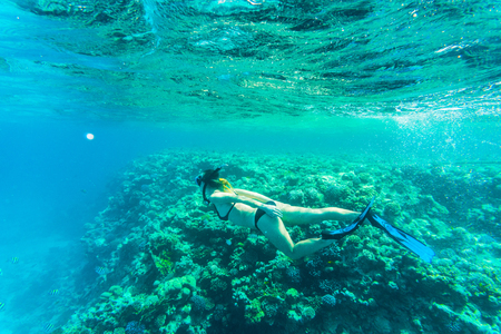 Beautiful coral reef with young freediver woman, underwater life.の写真素材