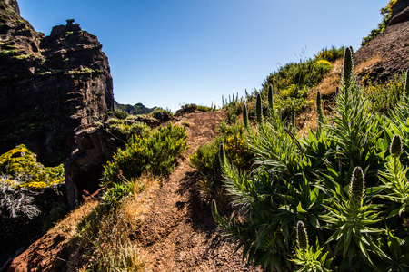 Trekking on the levada trail going across the meadows and peaks of the highest Madeira mountains, Pico Ruivo i Pico de Arieiro lost in cloudsの写真素材