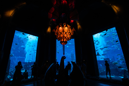October, 2018 - Dubai, UAE: Altaltis Aquarium and Underwater Zoo of the Mall of Emirates. The Altantis is aquarium with a tunnel that draws the tub, the aquarium is located in the Mall of Emirateのeditorial素材