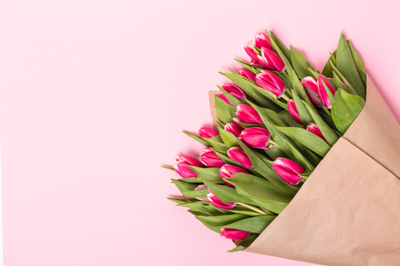 Pink tulips on the pink background. Flat lay, top view.の写真素材