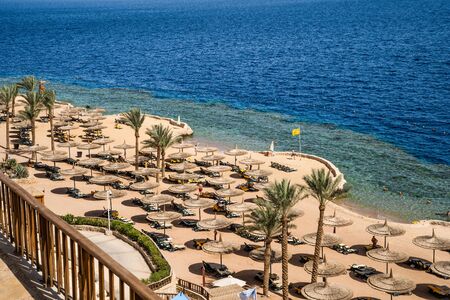 Coast of the Red Sea, resort beach with palm trees in Sharm El Sheikh, Egypt.の写真素材