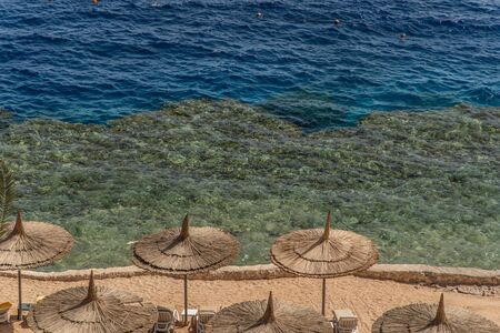 Beautiful beach with palm trees at sunset, Sharm El Sheikh, Red sea, Egyptの写真素材