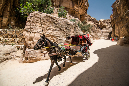 Petra, Jordan - May, 2019: Horse Carriange Brings Tourists Into the Treasuryのeditorial素材