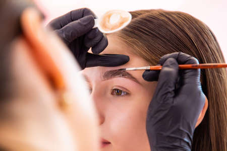 Young woman on correction and dyeing eyebrows with paint henna in salon.の写真素材