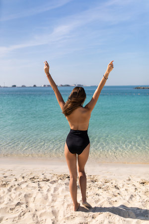 Young sexy woman in a black bikini from the rear on sea backgroundの写真素材