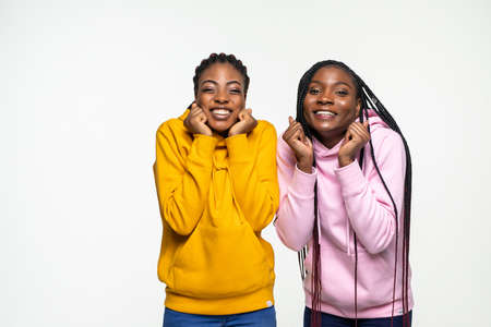 Portrait of two attractive charming girlfriends dressed in casual clothing on gray backgroundの写真素材