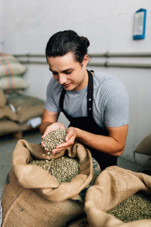 Man strewing green grains from burlap sack in special container. Industry concept. Close upの写真素材