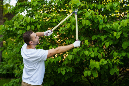Garden worker trimming bushes with scissors in the yard