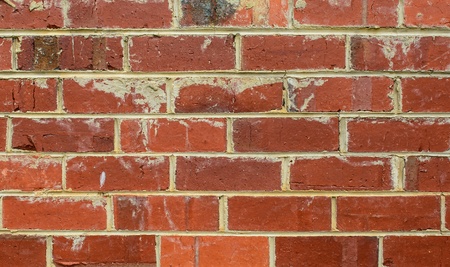 House brick wall in the perfect morning sun light. It looks really fresh.